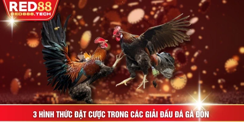 3 hình thức đặt cược trong các giải đấu đá gà đòn 