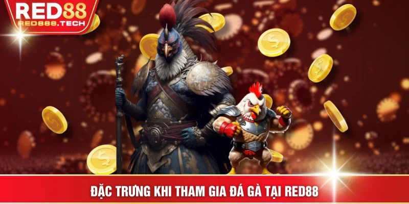 Đặc trưng khi tham gia đá gà tại RED88