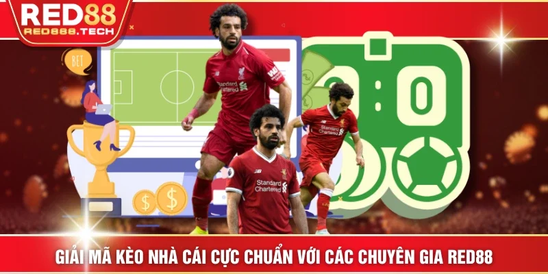 Ảnh đại diện giải mã kèo nhà cái