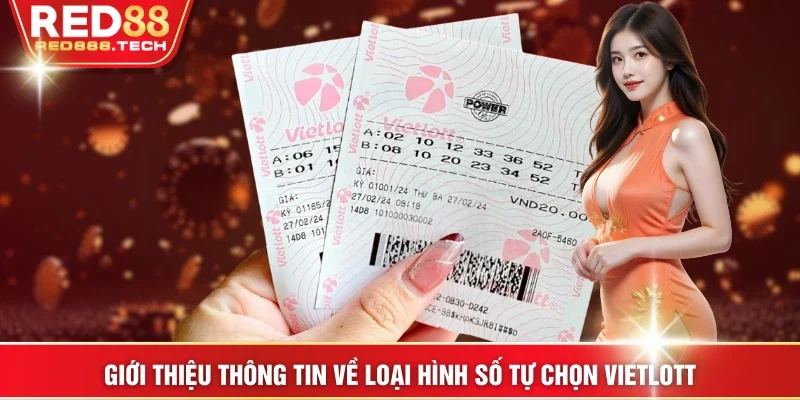 Giới thiệu thông tin về loại hình số tự chọn Vietlott