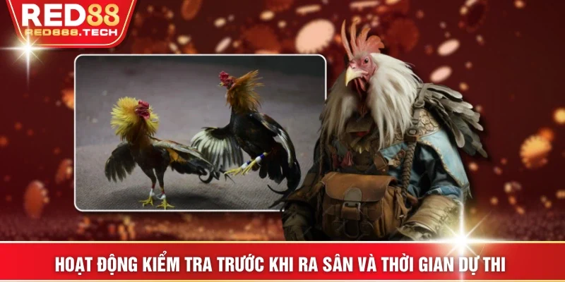 Hoạt động kiểm tra trước khi ra sân và thời gian dự thi 