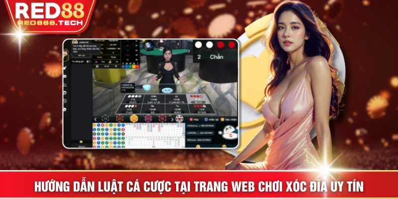 Hướng dẫn luật cá cược tại trang web chơi xóc đĩa uy tín