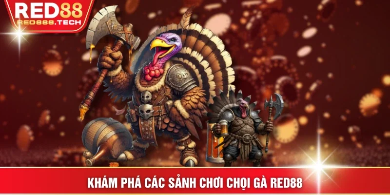 Khám phá các sảnh chơi chọi gà RED88