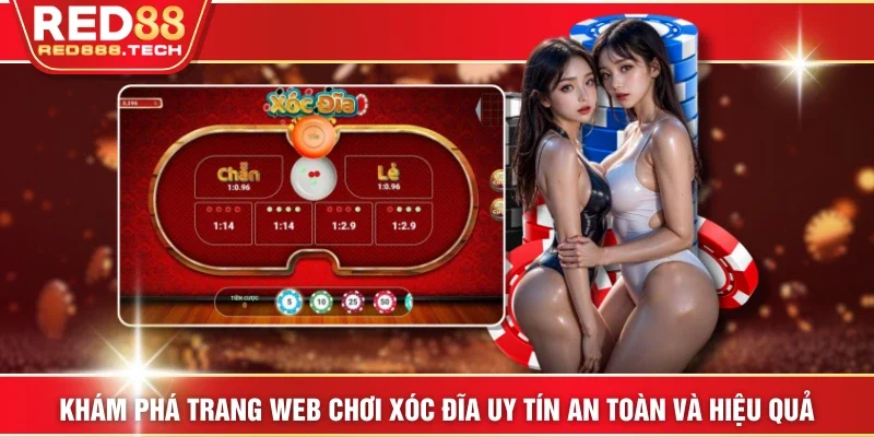 Ảnh đại diện chơi xóc đĩa uy tín