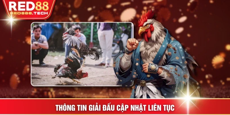 Thông tin giải đấu cập nhật liên tục
