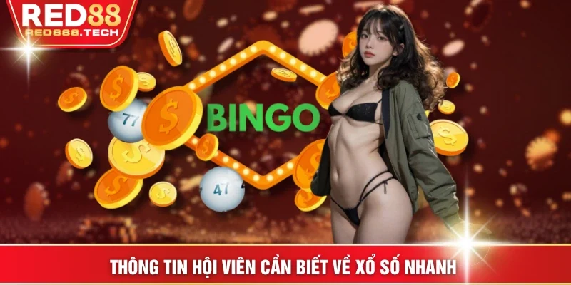 Thông tin hội viên cần biết về xổ số nhanh 