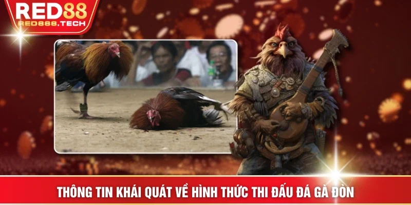 Thông tin khái quát về hình thức thi đấu đá gà đòn
