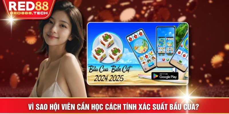 Vì sao hội viên cần học cách tính xác suất bầu cua? 