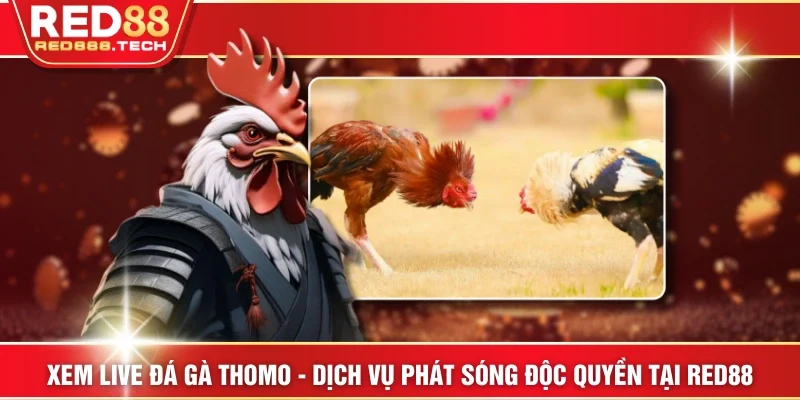 Ảnh đại diện xem live đá gà