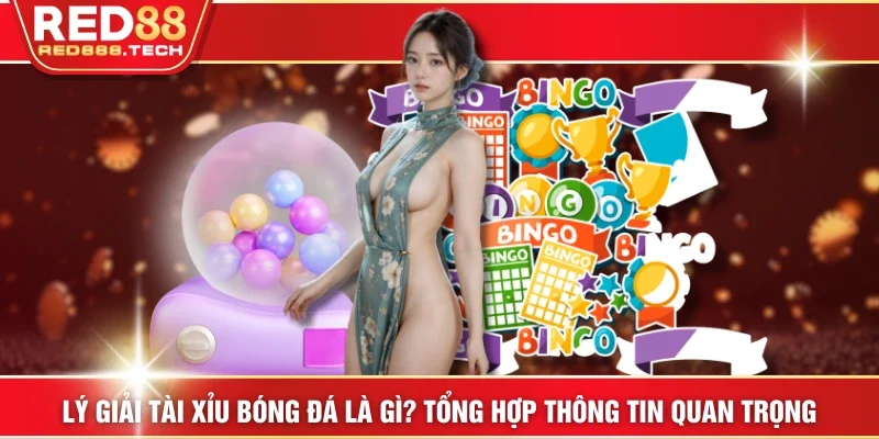 Ảnh đại diện kết quả xổ số miền bắc